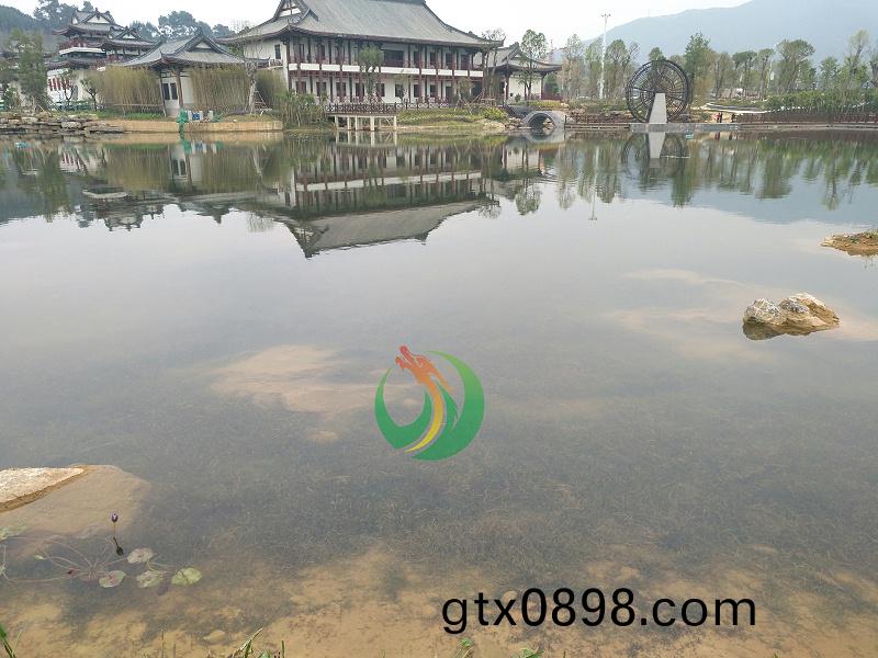 賀州(zhou)園愽(bo)園1