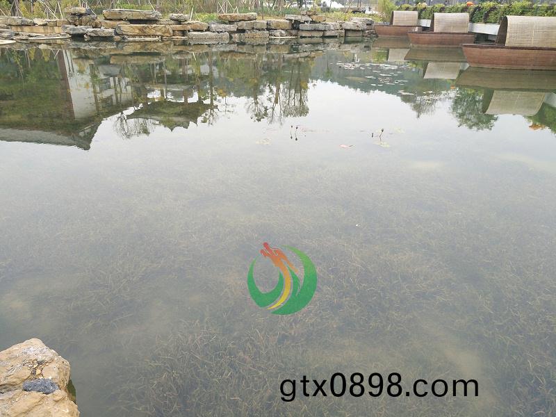 賀州(zhou)園愽園2